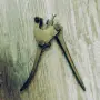 Пломбажни клещи - месинг , снимка 5
