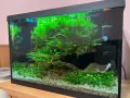 Аквариум AquaEl, снимка 4