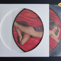 LP Немски ДИСПЛЕЙ за Picture Disc 12" Голяма Рисувана грамофонна плоча тип Картина, снимка 1 - Samsung - 36305951