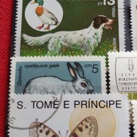 Пощенски марки смесени от цял свят ЖИВОТНИ за КОЛЕКЦИЯ 22615, снимка 4 - Филателия - 40344342