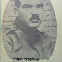 Капитанът на земляците Стефан Стефанов, снимка 1 - Художествена литература - 31844963