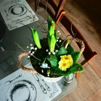 Кашпи с живи цветя, снимка 9 - Декорация за дома - 44143404