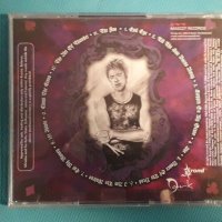Jeff Martin(feat.Michael Schenker,Paul Gilbert) – 2006 - The Fool(Hard Rock), снимка 13 - CD дискове - 42766048