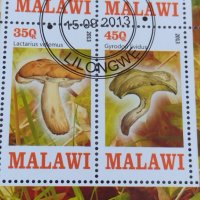 Пощенски марки чиста комплектна серия ГЪБИ 2013г. поща Малави за колекция 29802, снимка 3 - Филателия - 37689347