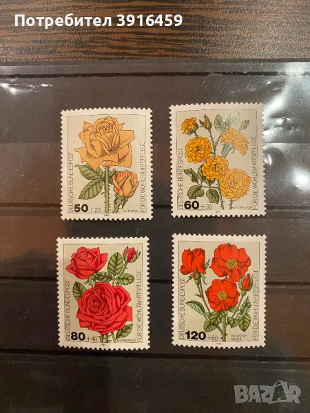 Германия, Рози, снимка 1