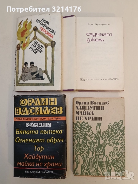 Хайдутин майка не храни - Орлин Василев, снимка 1