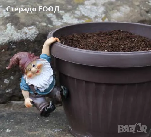 ВИСЯЩО ДЖУДЖЕ ЗА САКСИЯ, снимка 1