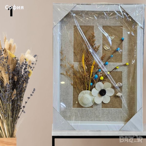 Картина с хербарии - различни видове, снимка 1