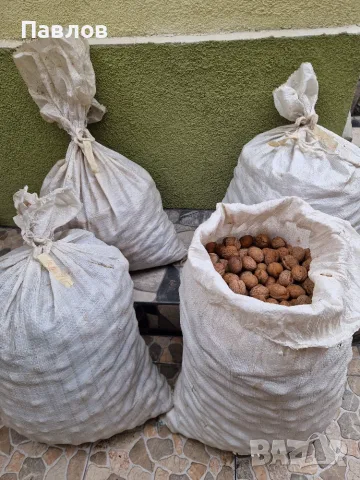 Продавам стари орехи с черупка