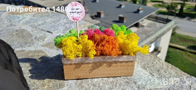 Малка бамбукова кашпа, снимка 5 - Декорация за дома - 51470258