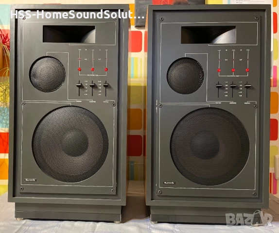 🇩🇪 SUMMIT Formel 1 FM 1/2 - 100/140W-4/8ohm