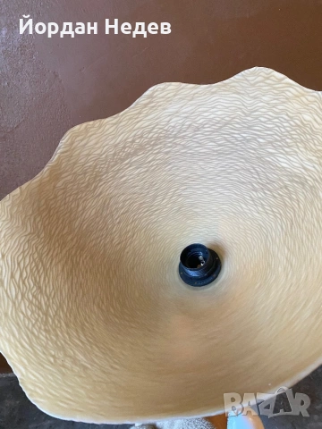 Полилей , снимка 3 - Полилеи - 53171638