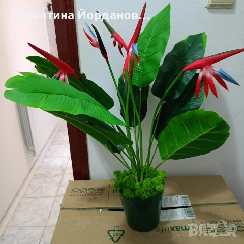 декорация , снимка 5 - Декорация за дома - 52891594