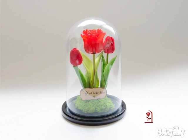 Вечни Лалета в Стъкленица със Скандинавски Мъх / Подарък за Рожден Ден на Жена / Подарък за Имен ден, снимка 3 - Подаръци за жени - 54055776