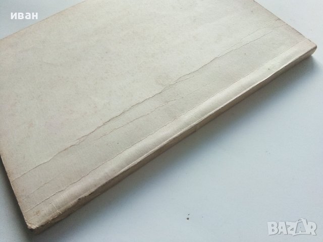 Информационен бюлетин-приложение "Дневника на Че в Боливия" - 1968г. , снимка 5 - Списания и комикси - 40775499