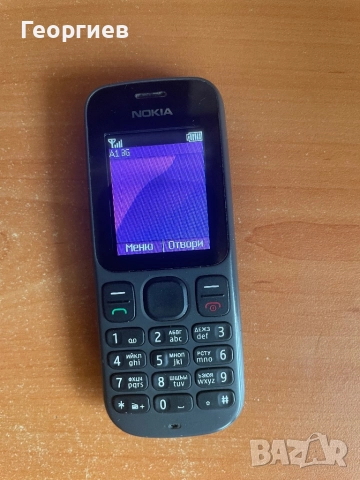 Nokia 100
