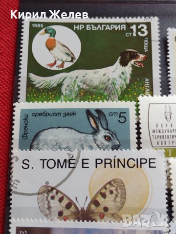 Пощенски марки смесени от цял свят ЖИВОТНИ за КОЛЕКЦИЯ 22615, снимка 4 - Филателия - 40344342