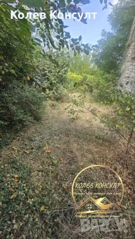парцел със стара къща Димитровград,кв.Черноконево, снимка 2 - Къщи - 56069599