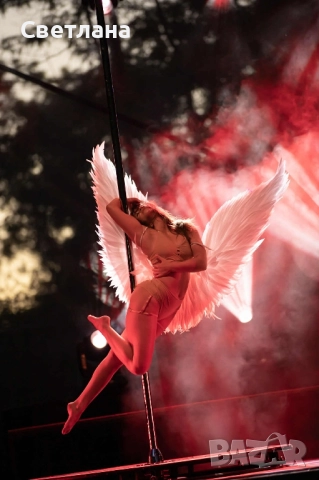 АНГЕЛСКИ КРИЛА , снимка 5 - Други - 51865443