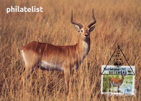 Ботсвана 1988 - 4 броя Карти Максимум - WWF, снимка 1 - Филателия - 38881701