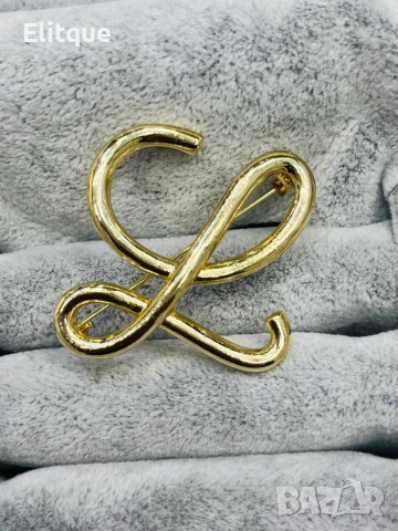 брошка от висококачествена стомана Christian Dior loewe Louis Vuitton wang Gucci , снимка 6 - Други - 53058385
