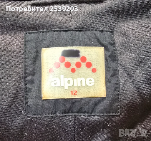 Детски ски екип PROTEST и Alpine  11-12 години , снимка 11 - Детски комплекти - 53162567