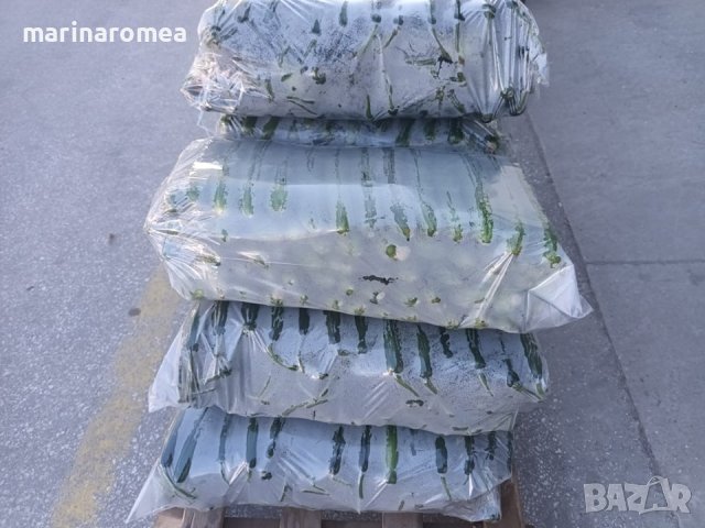 Чували за краставици, снимка 3 - Други - 42650153