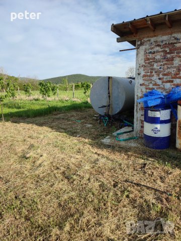 Овощна градина , снимка 8 - Земеделска земя - 38065060