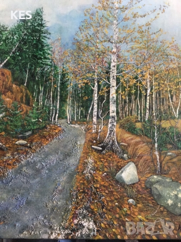 Късна есен на Витоша, снимка 3 - Картини - 52584543