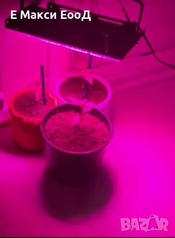 100w,200w,300w Прожектор за бърз растеж,Разсад,Фито лампа,Растения,Лед , снимка 3 - Прожектори - 51316998