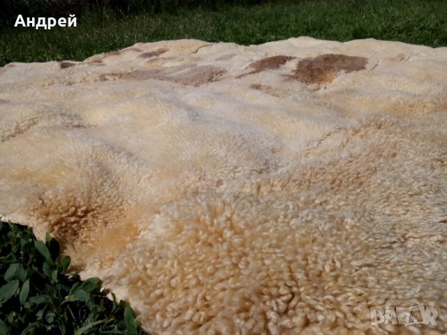 Стара естествена кожа, снимка 7 - Други ценни предмети - 29687038