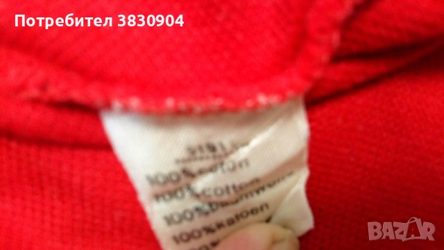 Поло шърт Lacoste, L, 100% памук, снимка 11 - Тениски - 42195621