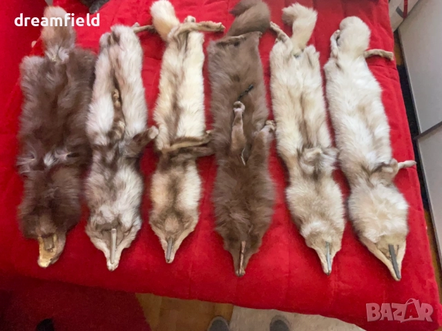 Сребърна лисица-ЯКИ- различни цветове, снимка 10 - Шалове - 50317077