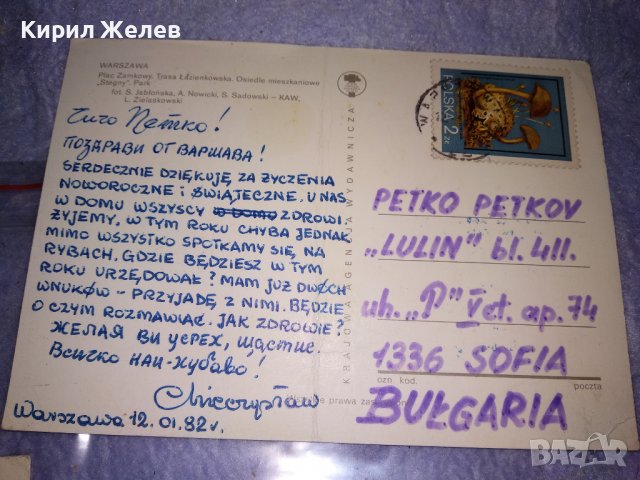 ЛОТ 4 Стари ПОЩЕНСКИ КАРТИЧКИ ФЛОРАЛНА ТЕМАТИКА ЦВЕТЯ ХИСАРЯ ВАРШАВА 36017, снимка 8 - Филателия - 39421544