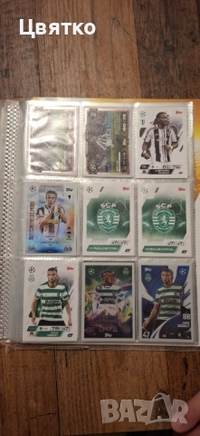 Колекция футболни карти MATCH ATTAX TRADING CARD , снимка 18 - Футбол - 52842401