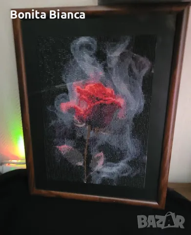 Диамантен гоблен, 30х40 см., снимка 1