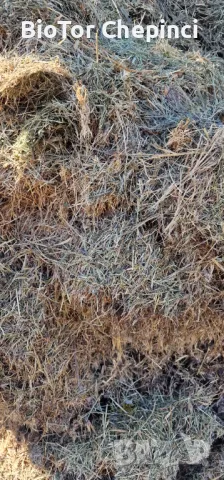 Компост от Прегоряла Трева-Рай Грас 50л чували, снимка 5 - Тор и почвени смеси - 47847251