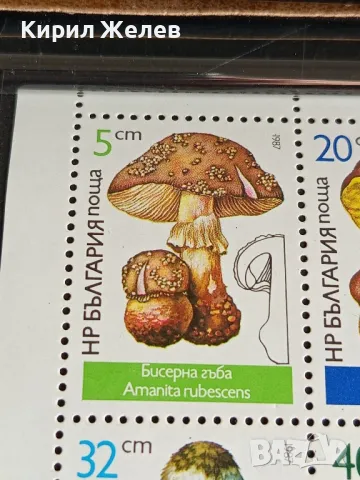 Пощенски марки чиста комплектна серия ГЪБИ поща НРБЪЛГАРИЯ за КОЛЕКЦИОНЕРИ 46344, снимка 2 - Филателия - 47769885