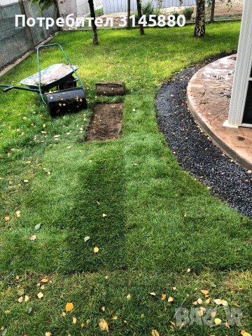 Градински Валяк Под Наем