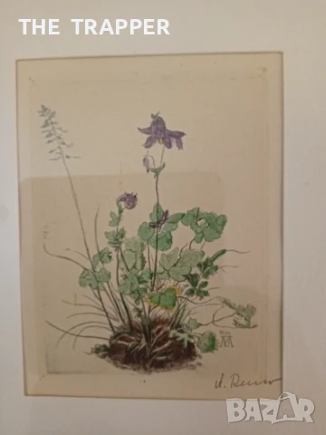 Албрехт Дюрер, Albrecht Durer 