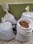 Продавам стари орехи с черупка, снимка 1