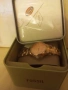 Часовник fossil дамски , снимка 3