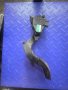 Педал газ 8D1721523E за VW PASSAT седан (3B5.5) 2.0i (1996 - 2001), снимка 1