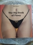 The Big Book of Pussy, снимка 1