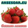100 бр. ягодови семена от гигантска ягода градинско плодово растение сладки и вкусни червени ягоди, снимка 1