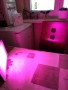 LED лампа за растения, снимка 2