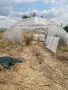 Метална конструкция за парник , снимка 1