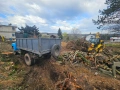 Услуги с комбиниран багер и 8-тонен камион – Варна и областта, снимка 4