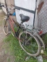 Продавам  дамски градски велосипед  с контра поредна спирачка , снимка 4