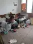 Превоз, извозване, разчистване!, снимка 4